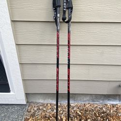 Scott Ski Poles