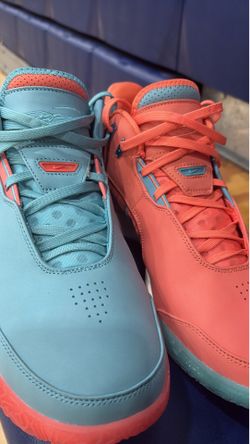 Nike zoom Lebrons