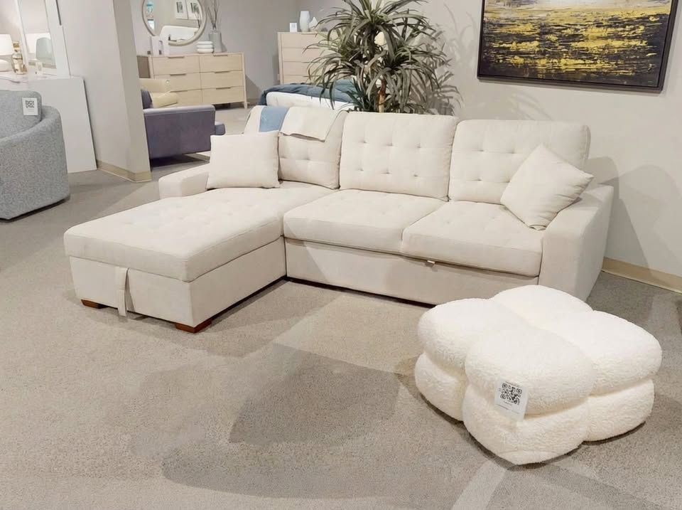 Sectional Pull Out Bed With Storage