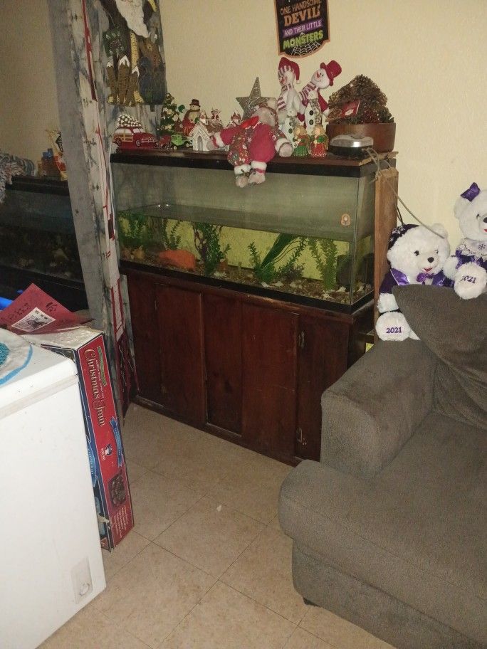 Big Fish tank, With Stand Fish And Decorations 
