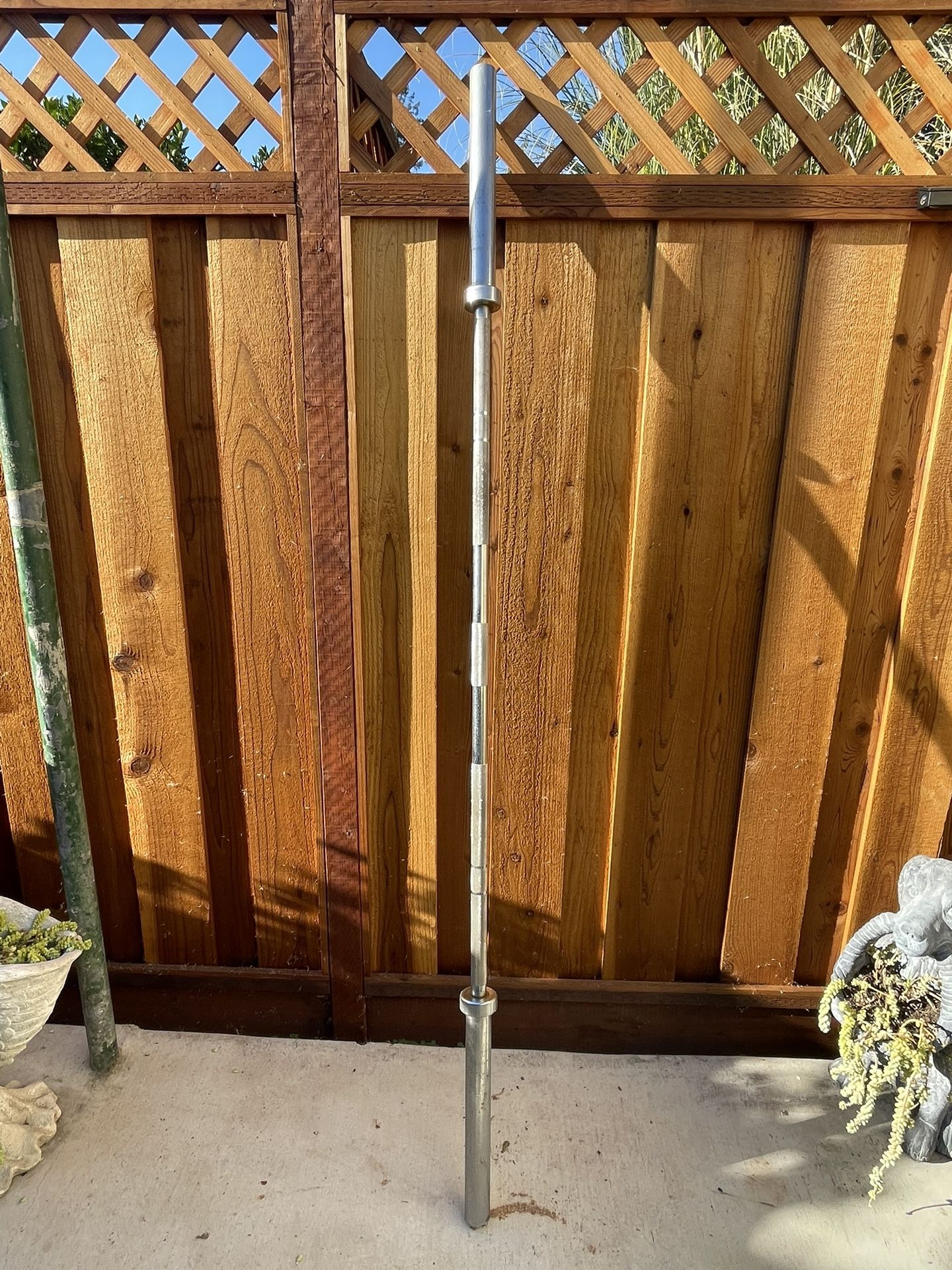 Olympic Barbell Titan Fitness