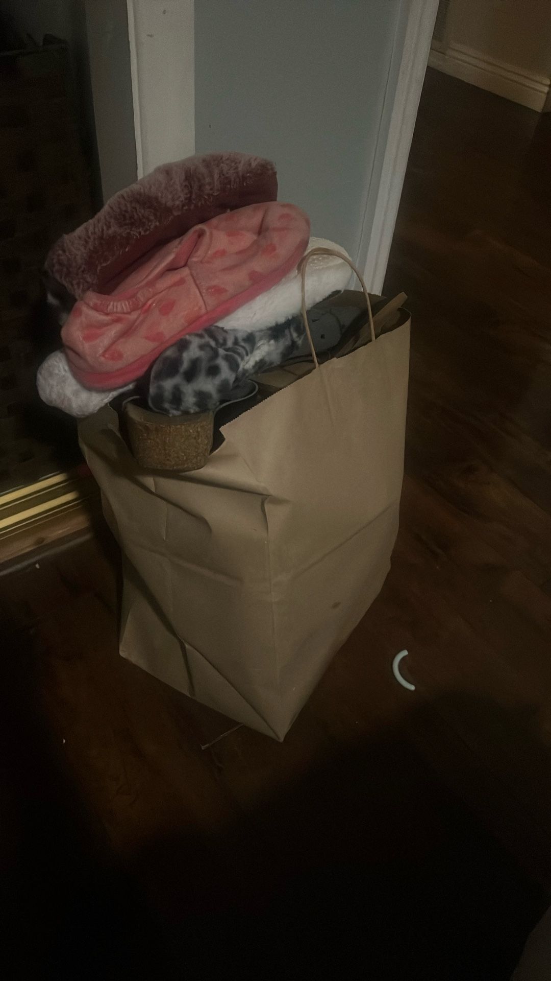 Bag Of Used Shoes Free 