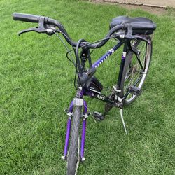 Giant Bike