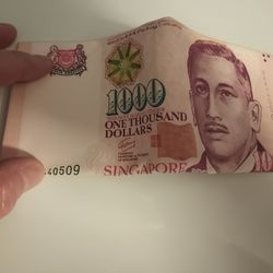 Men's Wallet