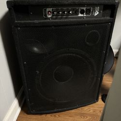 PA Floor Monitor with Titanium Horn