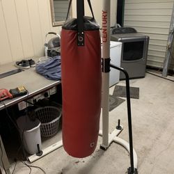 Punching Bag