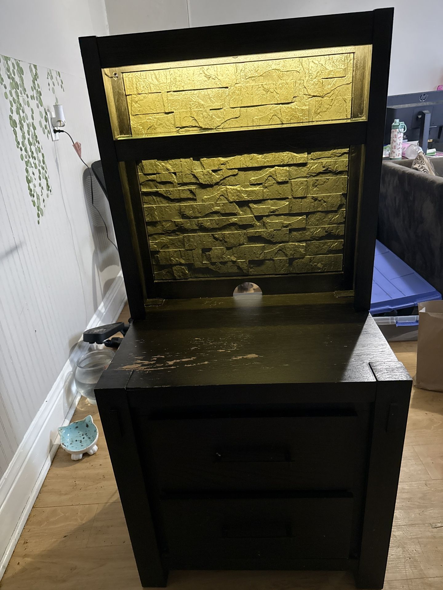 Black Cabinet with Lighted Display