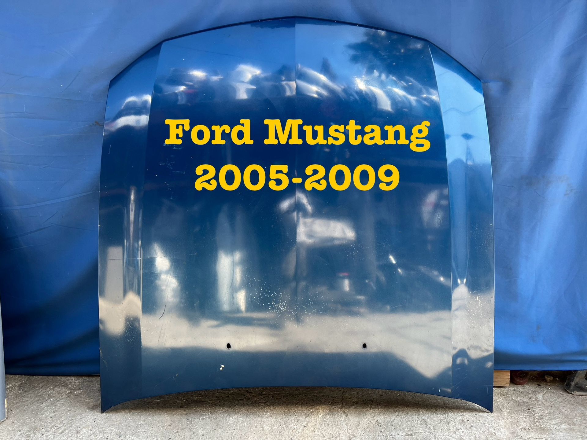 2005-2009 Ford Mustang Hood OEM 