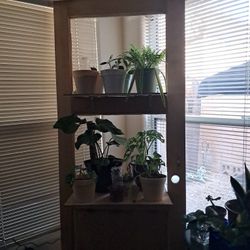 Repurposed 1940s Door. Use As A Coffee Bar Or Plant Stand. 