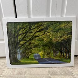 beautiful brand new 20 by 28 inch tempered glass wall art. (MUST SELL TODAY)