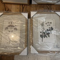 Set Of 4 Botanical Frames Prints 