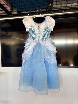Disney Cinderella costume