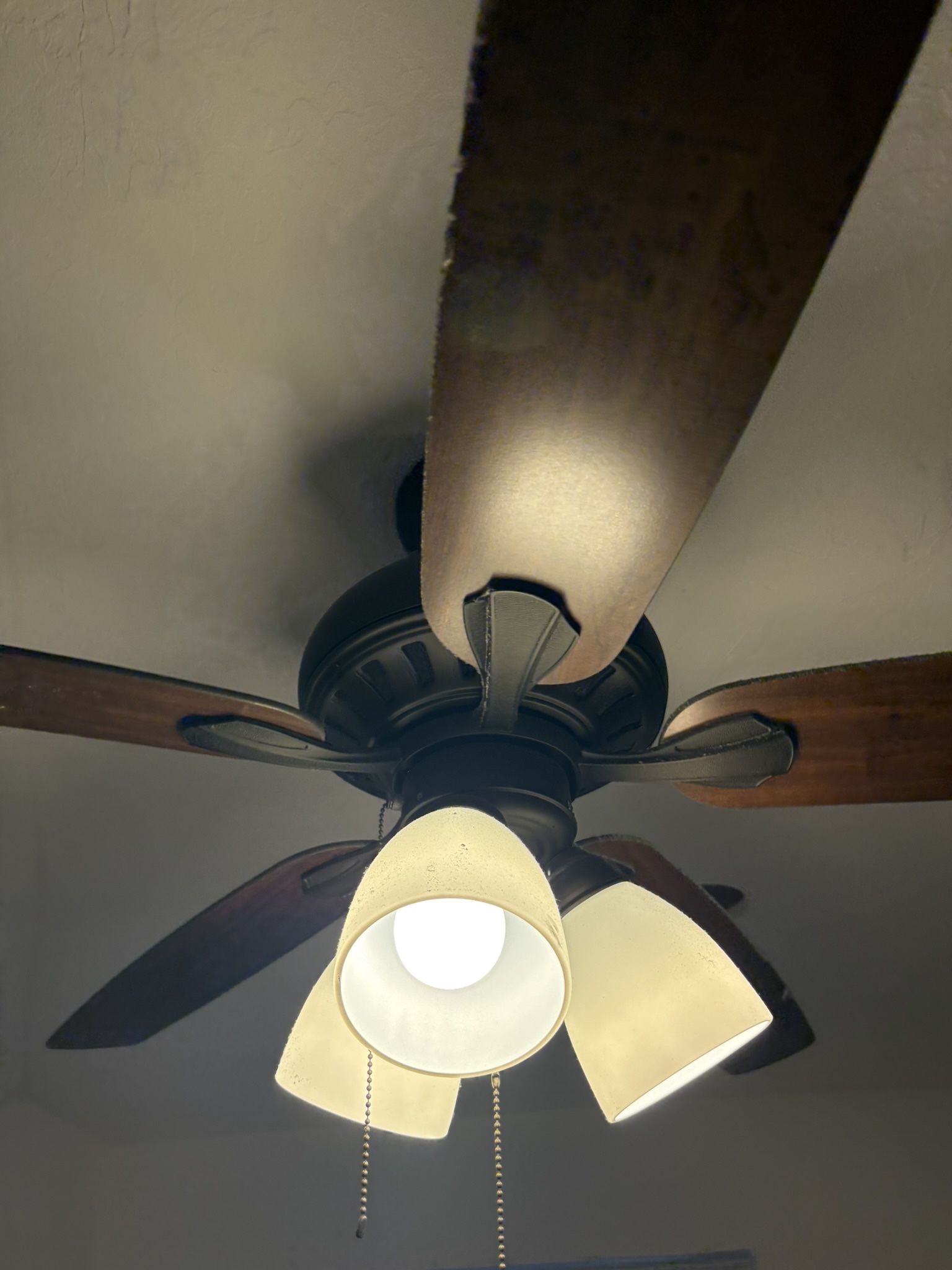 Ceiling Fan