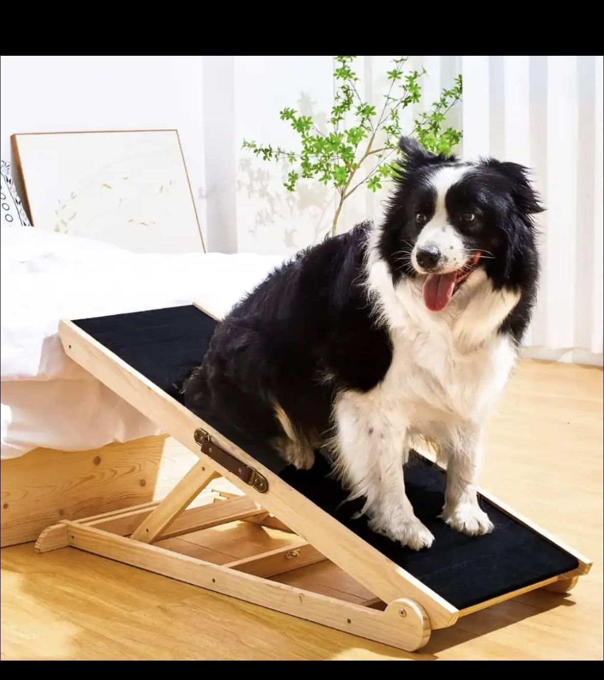 Wooden Dog Ramp