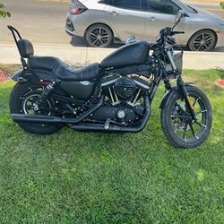 2020 Hd Sportster Iron 883