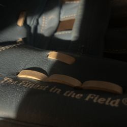 Rawlings Lefty Glove