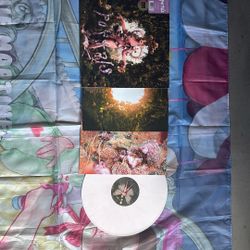 Melanie Martinez Vinyl Record