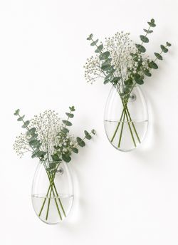 Set of 2 Clear Glass Wall Hanging Propagation Planters / Terrariums