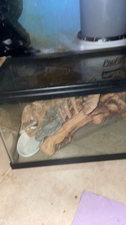 Fish Home Or Reptile