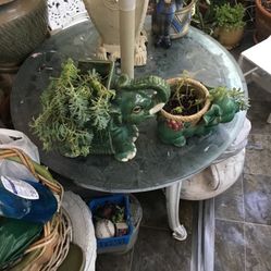 Plantas