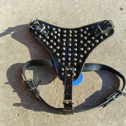  Dog Harness