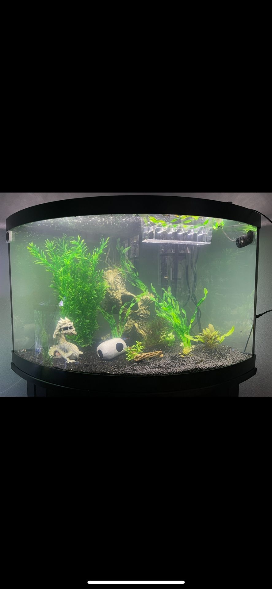 29 Gallon Bow front Corner Tank