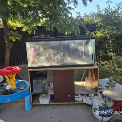 2 Fish Tanks & Stand