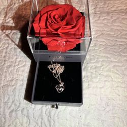 Rose Box With Necklace 