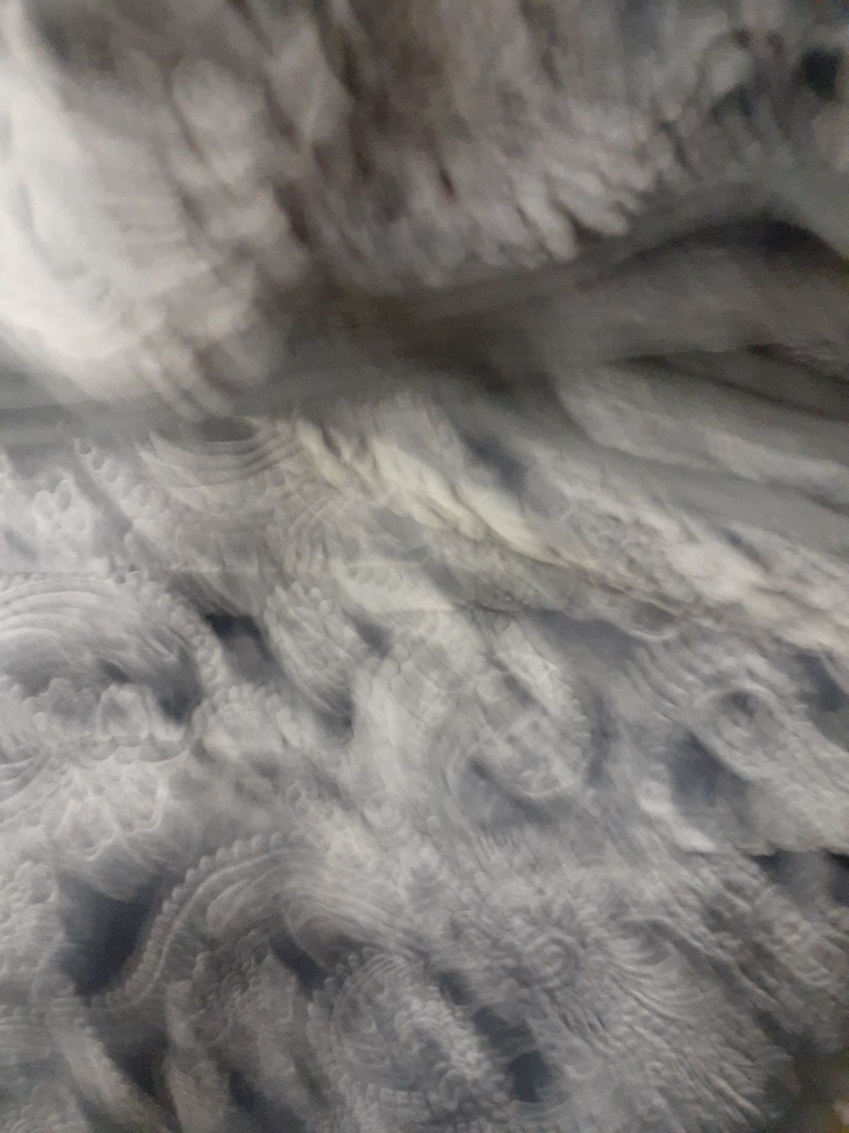 Blanket
