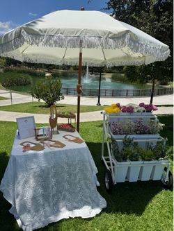 Bloom bar