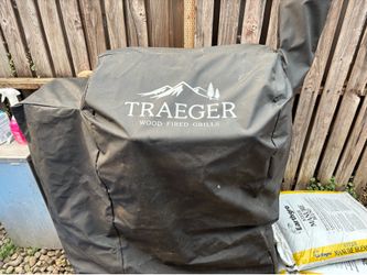 Traeger Pro 22 Smoker