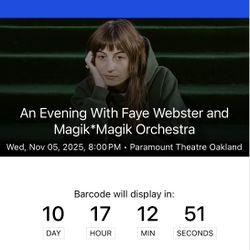 Faye Webster Ticket