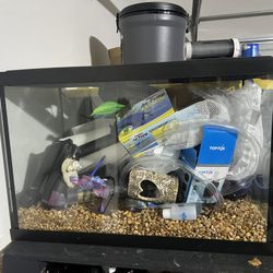 Fish Tank