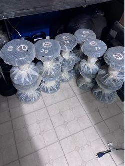 Brand new weights and dumbbells
