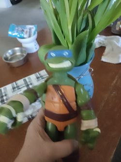 JUMBO SIZE TURTLE-  ( LEONARDO).         PICK ⛏️ UP ONLY