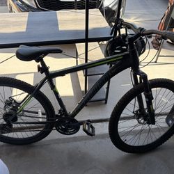 Adult Bike 