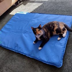 Pet Water Cooling Bed