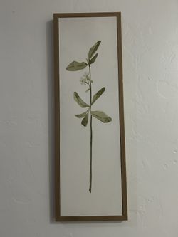 2  Wall Decor Frames 