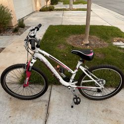 Girls Schwinn Ranger Mountain Bike, 24 Inch Wheels