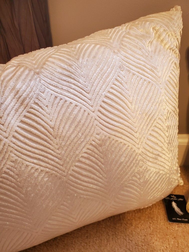 🔥🆕️ Off White/Cream 14 X 20 Feather Filled Throw Pillow