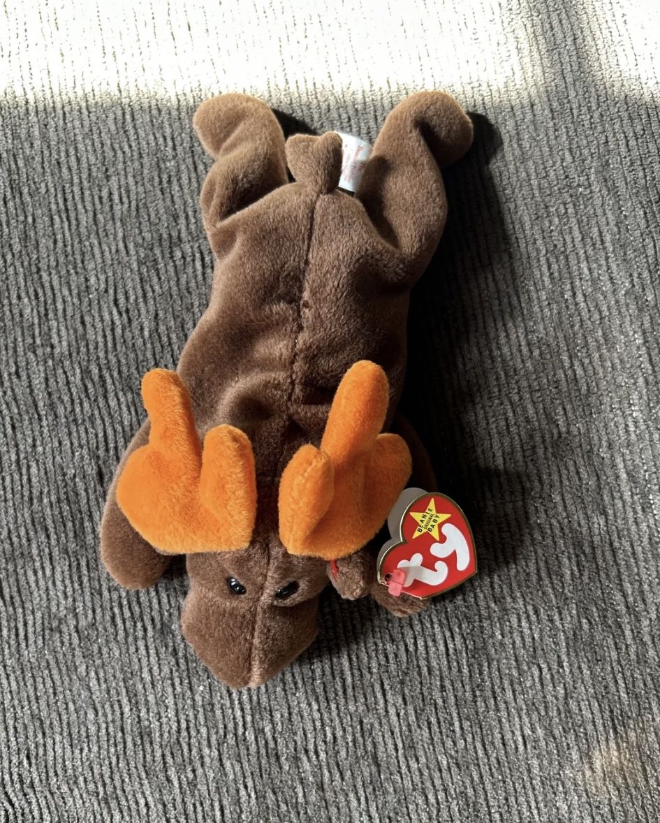 TY Beanie Baby Chocolate the Moose(Rare) With Error, In Mint
