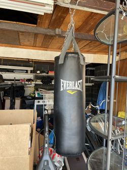 Everlast Punching Bag 