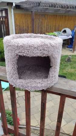 Cat cube