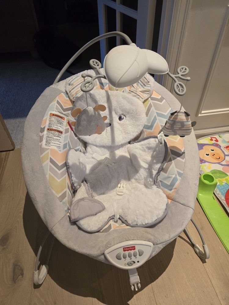 Fisher Prise Baby Bouncer