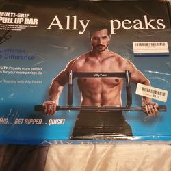 Ally Peaks Pull Up Bar