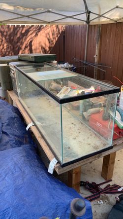 Free 60 gallon long