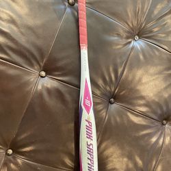 Softball bat
