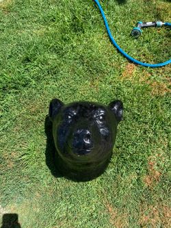 Bear head