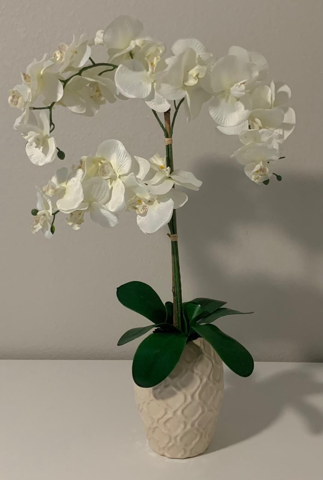 Decorative Orchid Flower With Pot