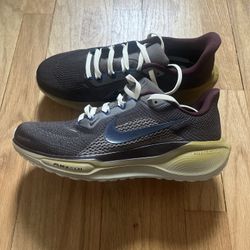 Nike Pegasus 41 Size 7 Men Brand New